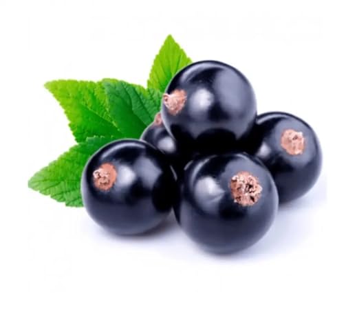 yodeyma parfums CELEBRITY WOMAN Perfume (WOMEN) Eau de Parfum 50 ml